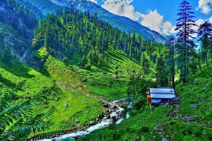 Fairy Meadows